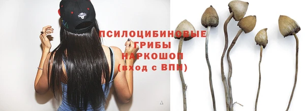 прущая мука Лабытнанги