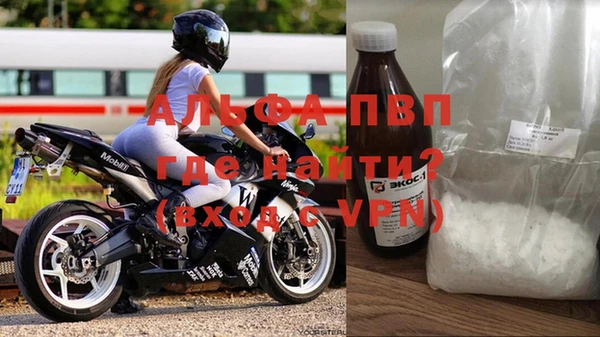 ПСИЛОЦИБИНОВЫЕ ГРИБЫ Ладушкин