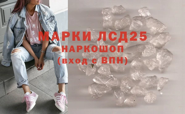 ПСИЛОЦИБИНОВЫЕ ГРИБЫ Ладушкин