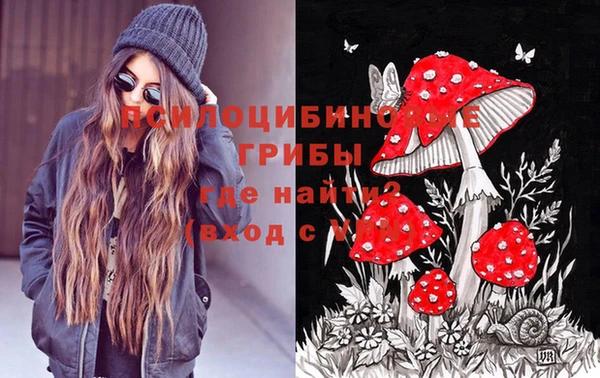прущая мука Лабытнанги