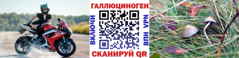 Купить где  Горнозаводск  Галлюциногенные грибы прущие грибы 